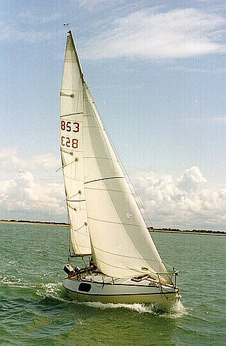 primo-2.jpg