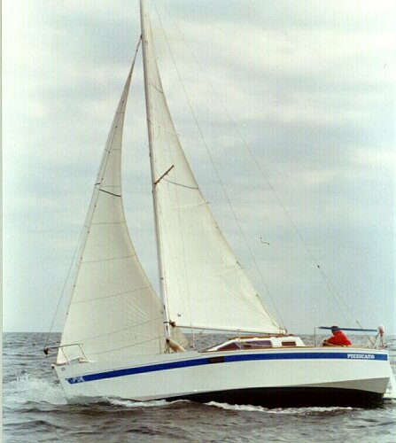 pizzicato-la marmotte 2.jpg